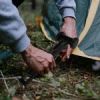 Lightweight Plastic Camping Mallet